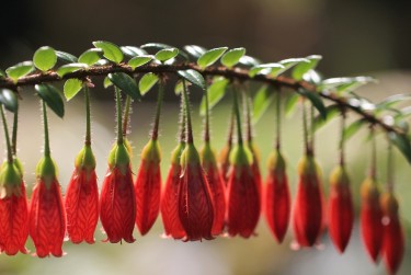 惠州惠东1私人快速借钱网，轻松解决资金难题
