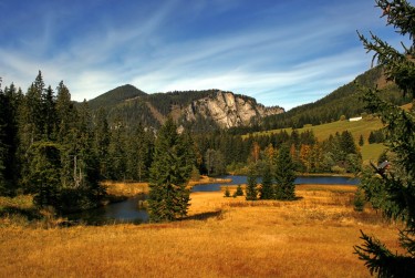 惠州惠东1民间私贷攻略：揭秘低成本借贷的秘密