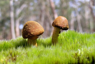 惠州惠东1私人老板放款：轻松融资的秘密通道